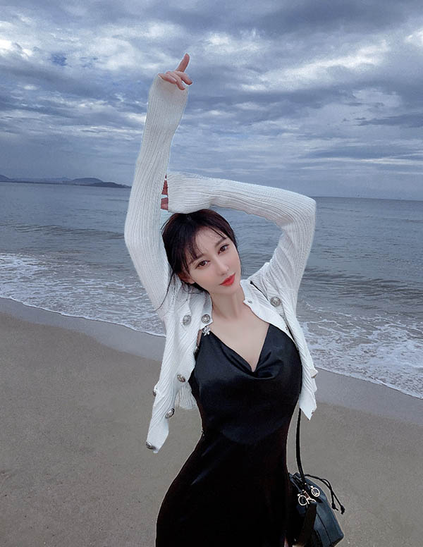 芝加哥伴游服务